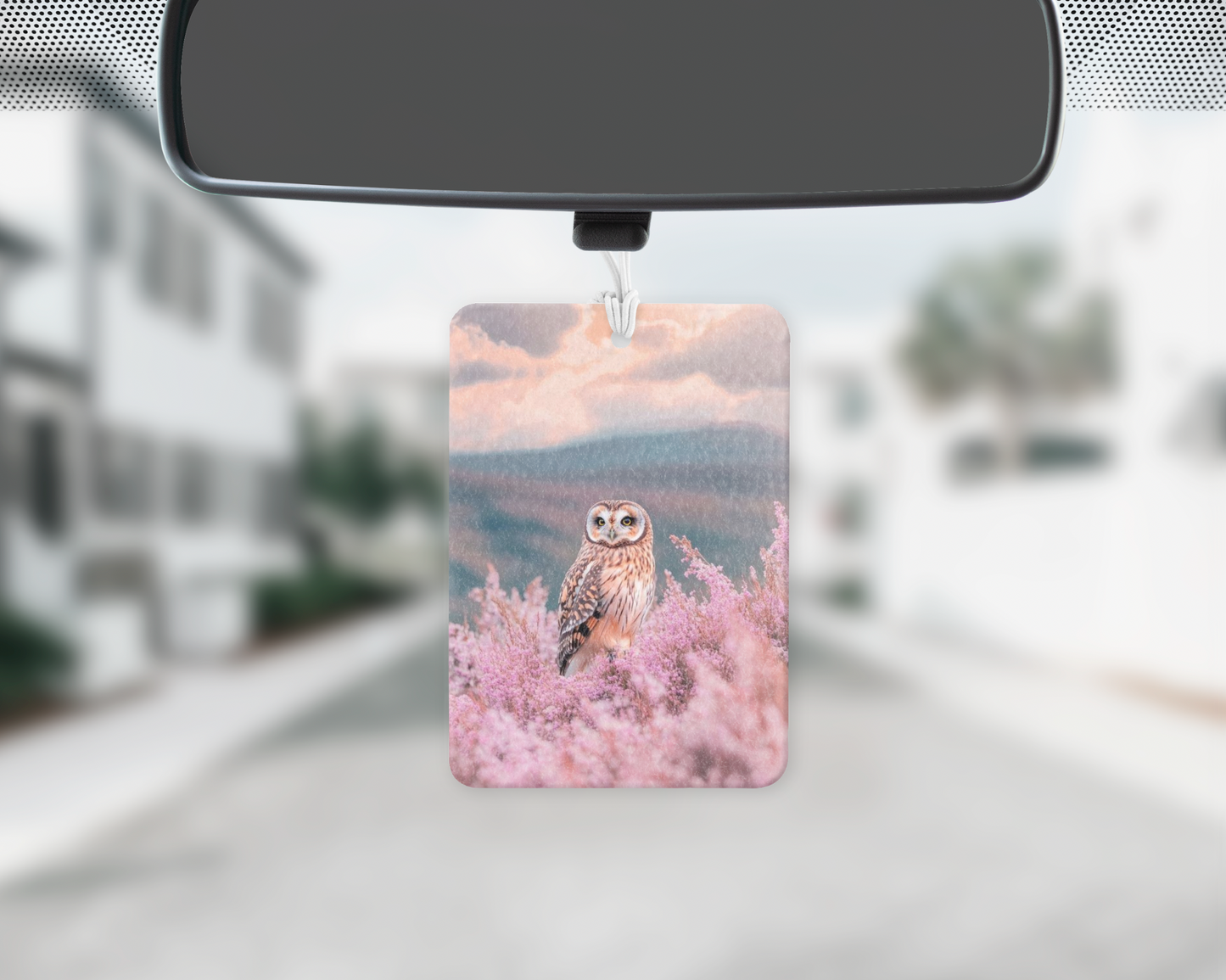 Owl field car freshie