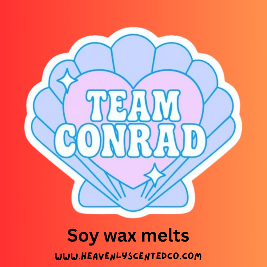 Team Conrad “book” wax melts