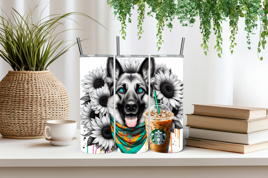 Gangster German shepherd tumbler