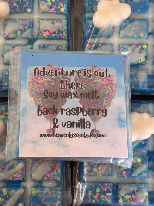 Adventure is out there (up) wax melt