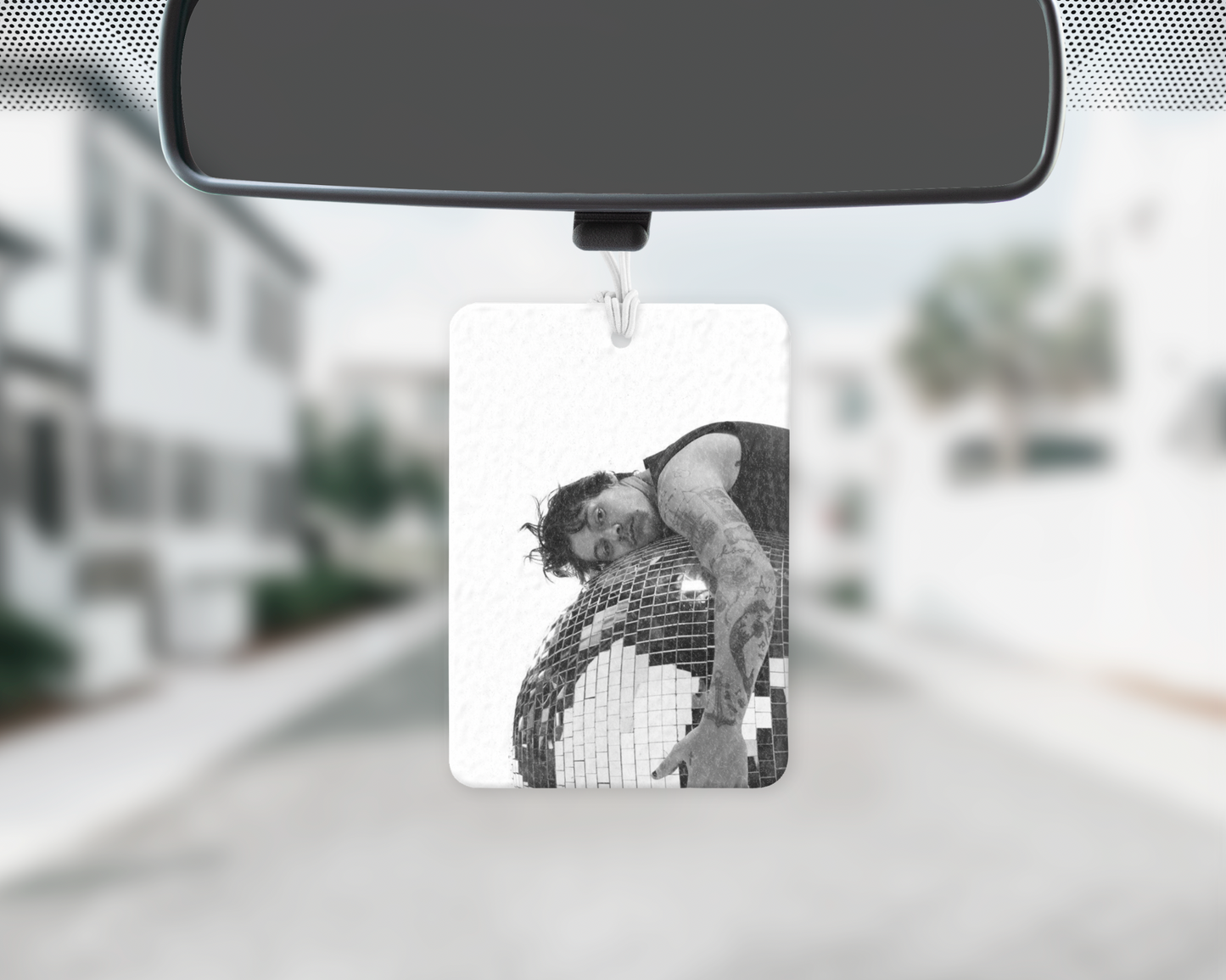 H. Styles car freshie