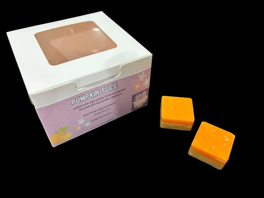 Mini pumpkin slice wax melts
