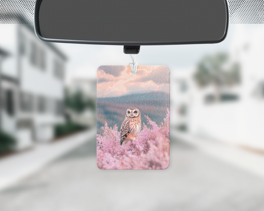 Owl field car freshie