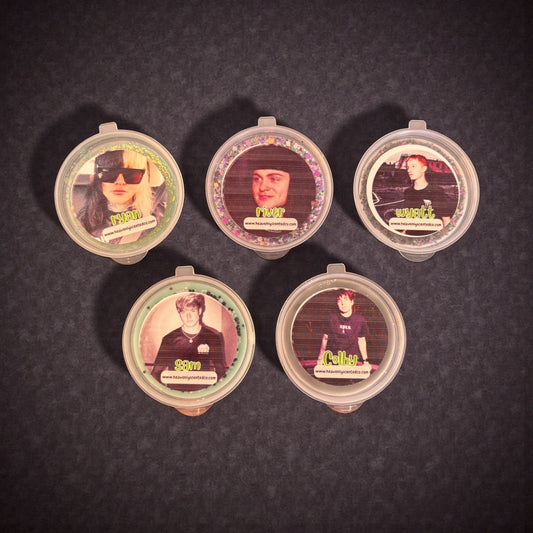 The paranormal investigator shot pot wax melt theme box