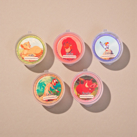 Remember, who you are shot pot wax melt theme box